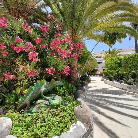 Apartment Parque Don Jose 390 Arona (Tenerife)